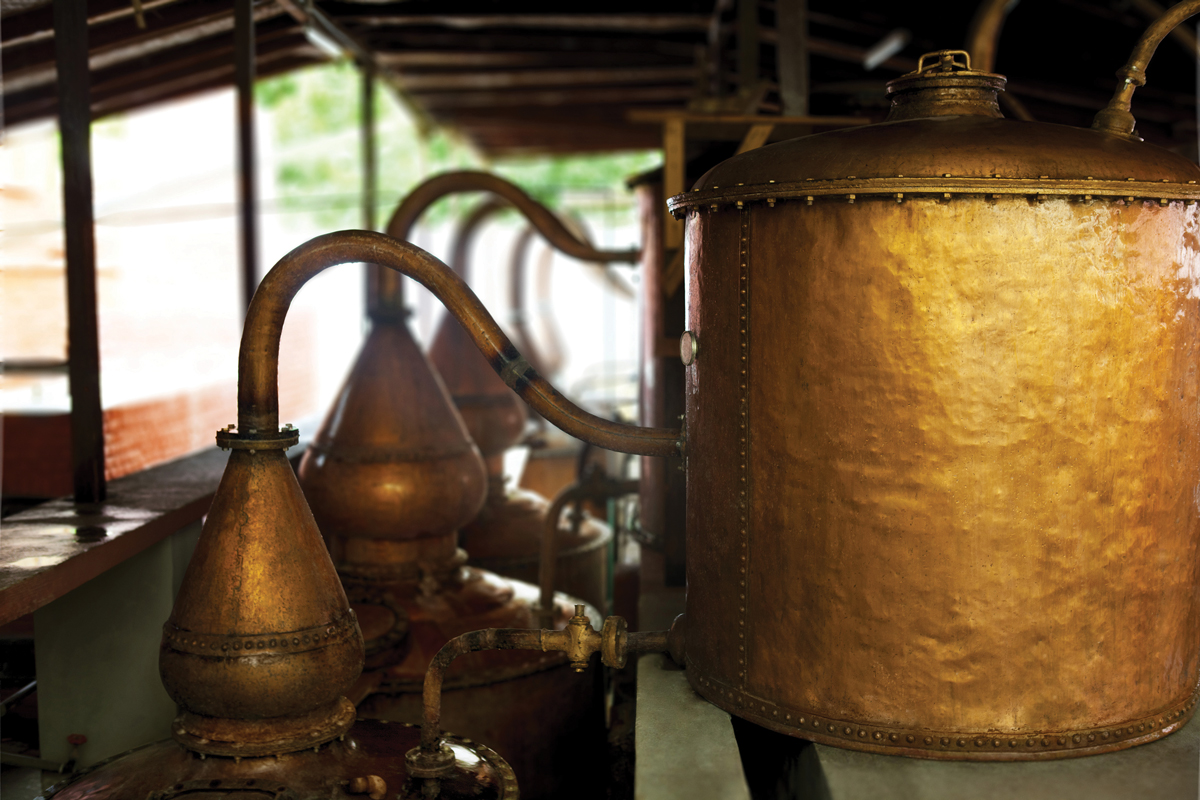 pisco.jpg