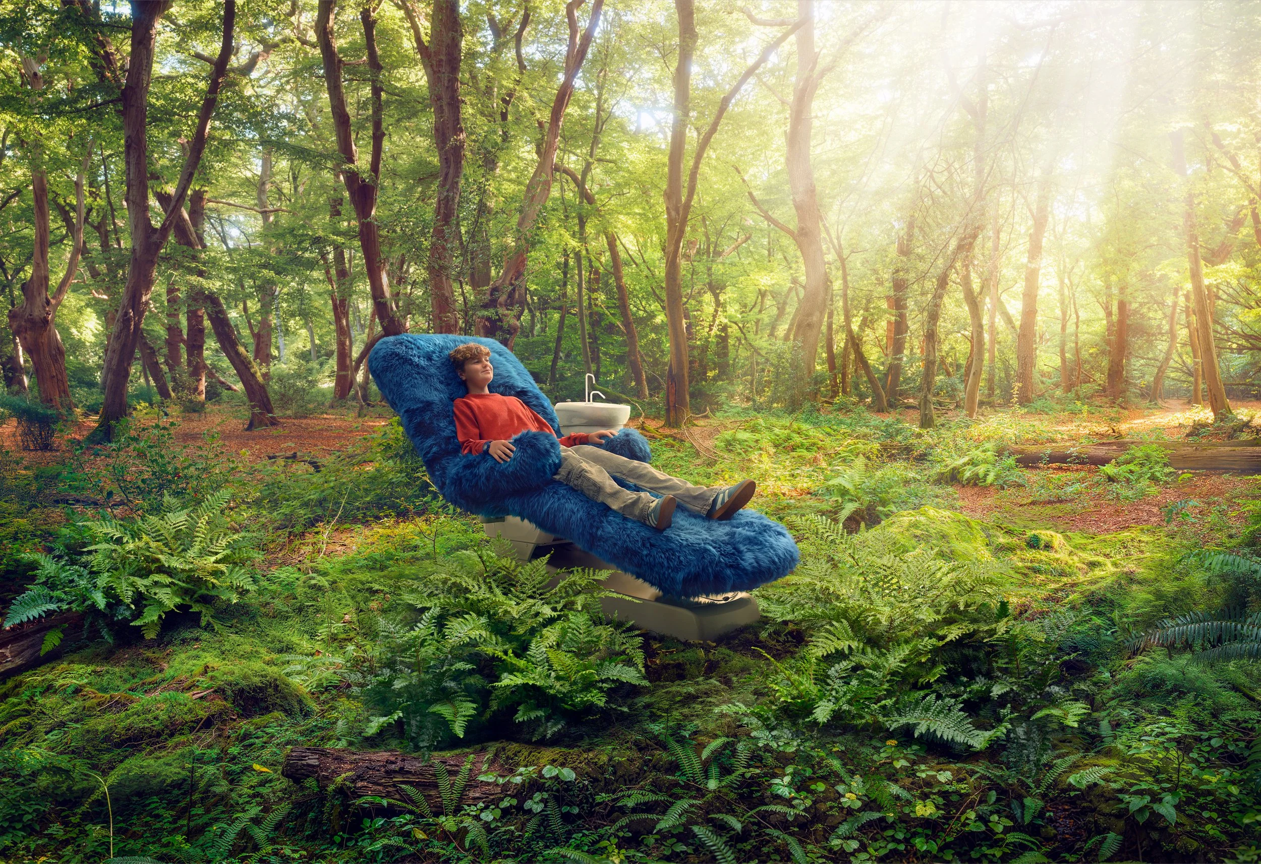BUPA_FOREST_7c_RGB.jpg
