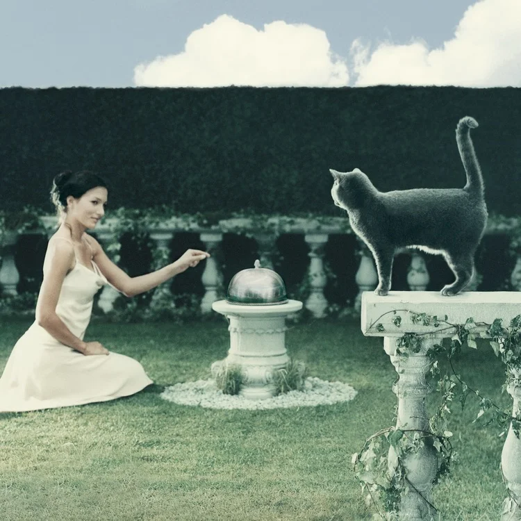 Photographer: Peer Lindgreen | Project: Sheba