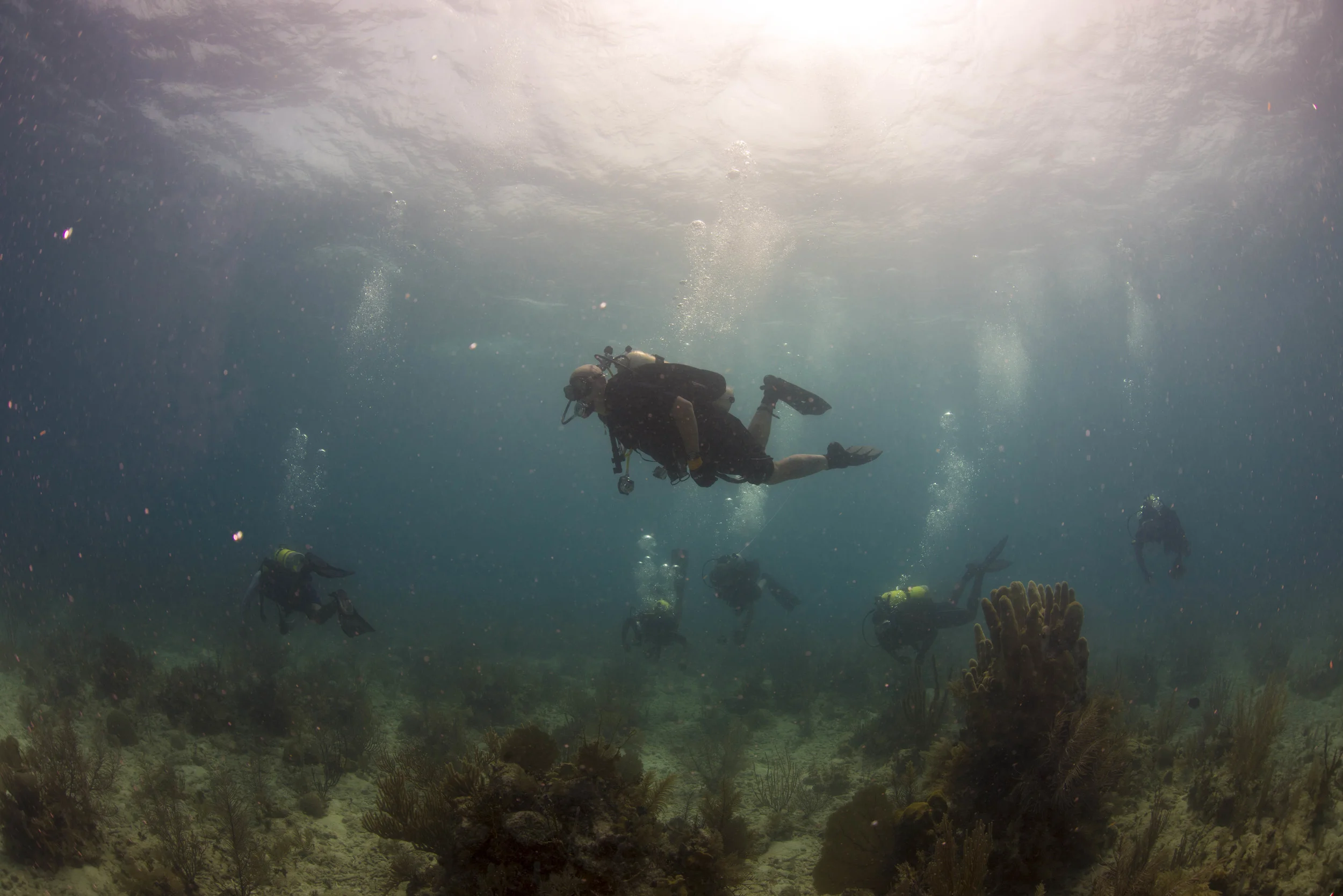 14478896543_dda70ae73f_o.jpg