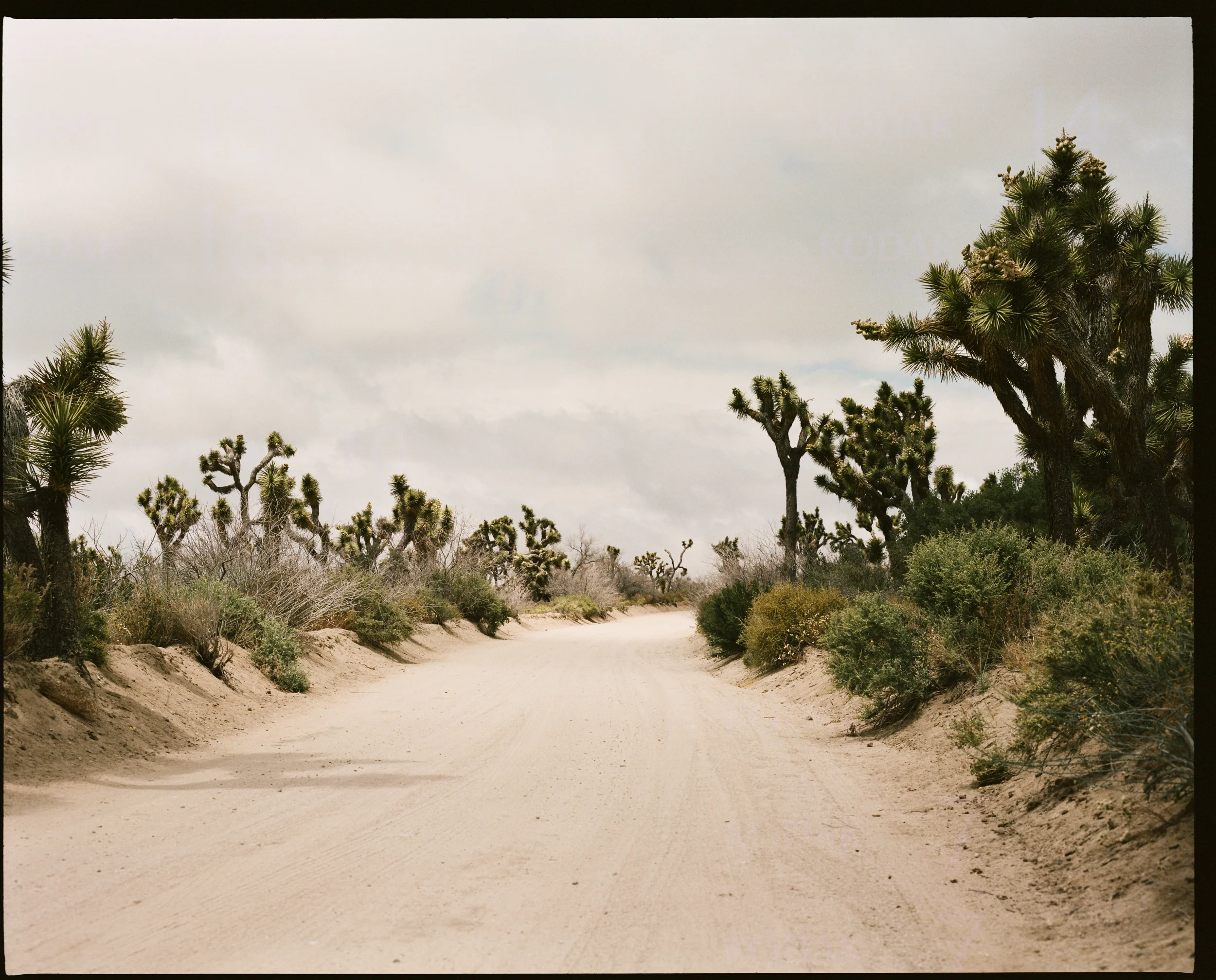 ENVIRONMENTALS_0771.jpg