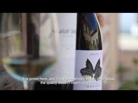 Meet Your Makers: Javier Sanz Winery