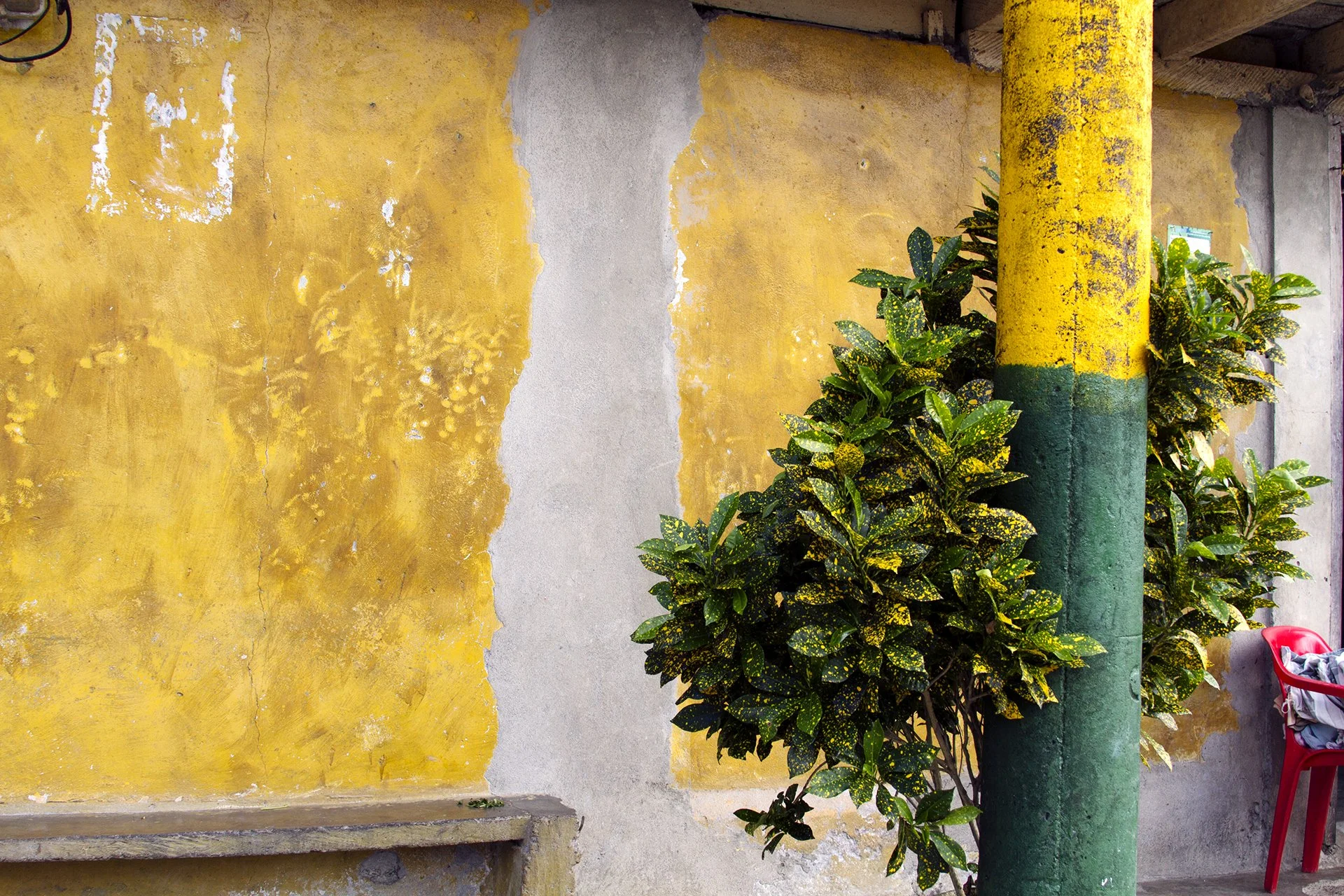 Plant Pole Yellow Wall.jpg