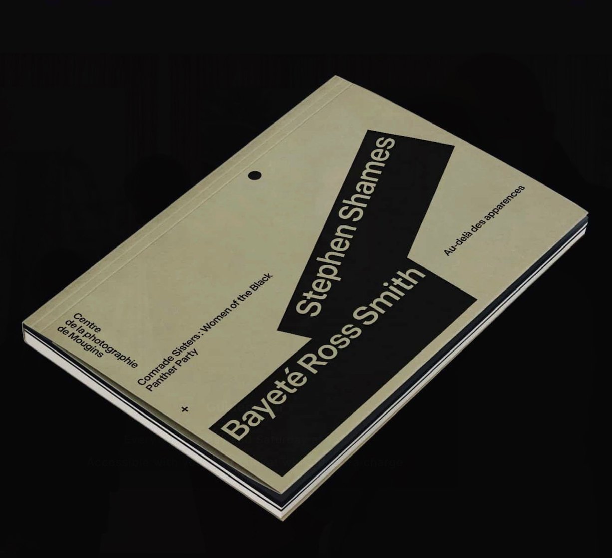 Bayeté and Stephen Shames Mougins Book.jpeg