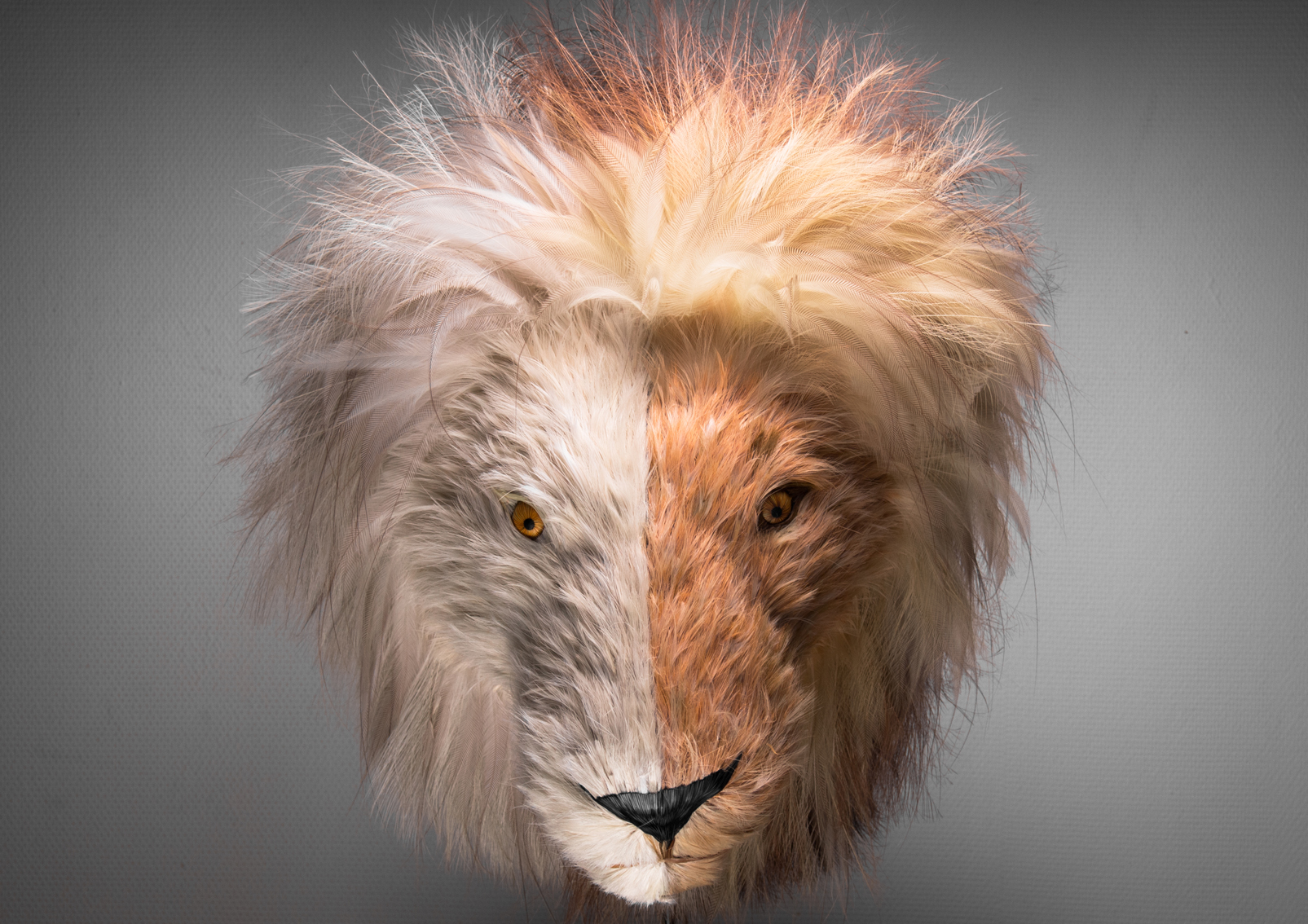 Lion2.jpg