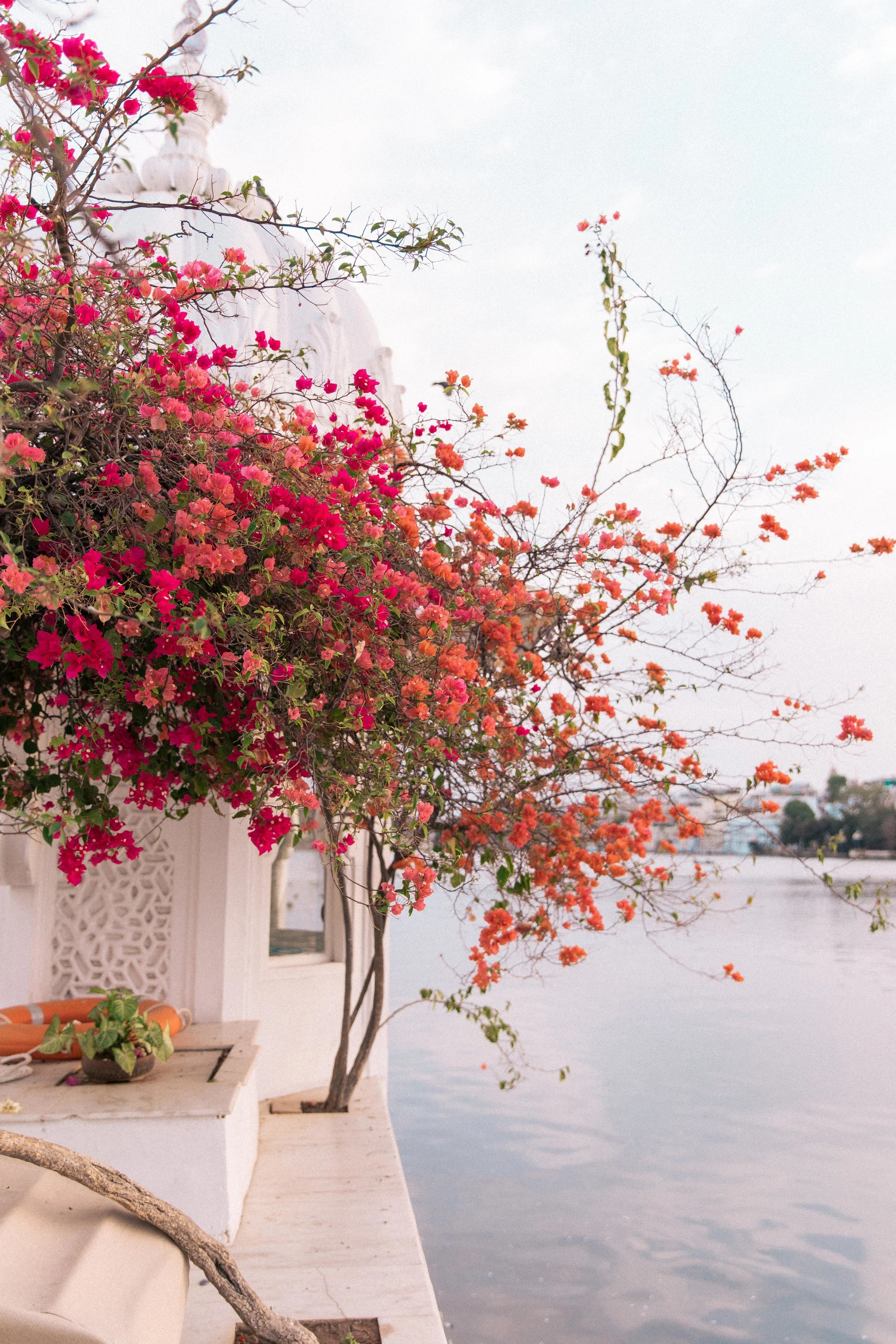 India_Stephanie-236.jpg