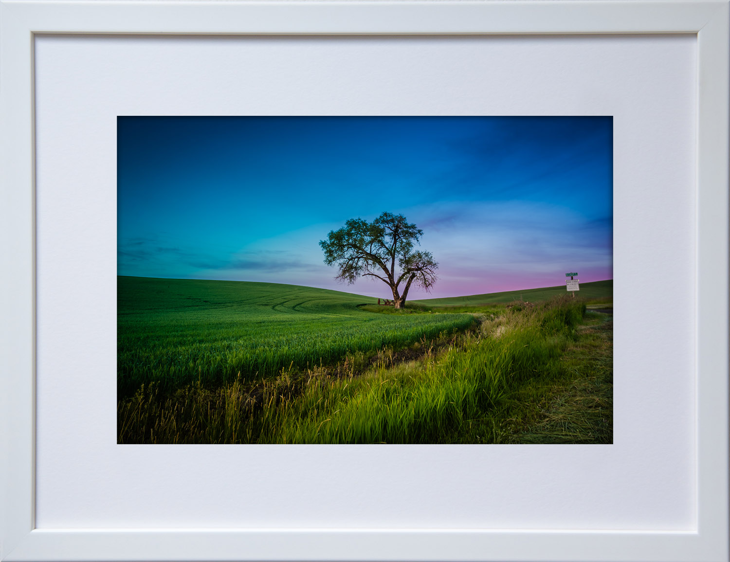 Lone Tree_White.jpg