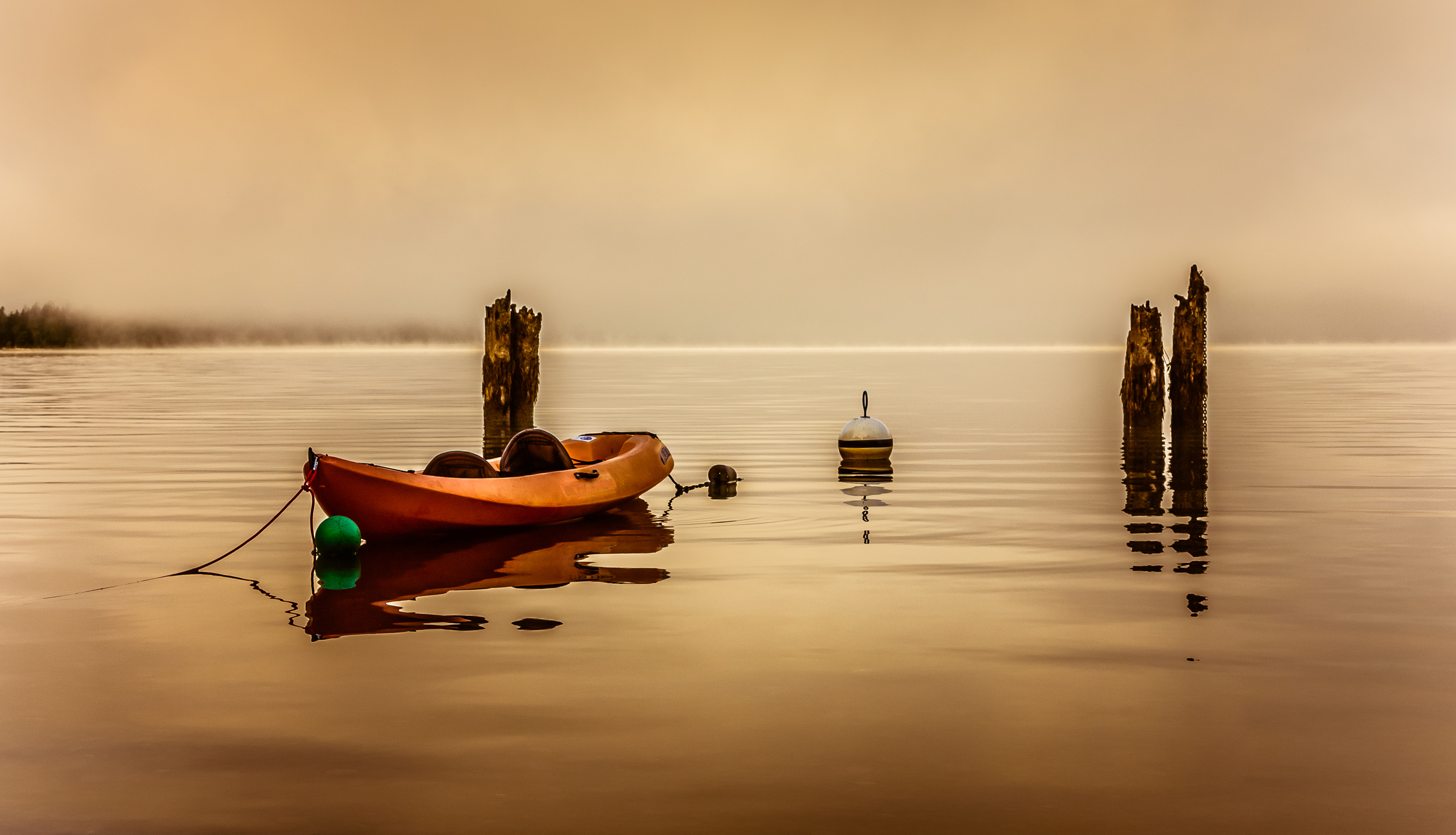 Serenity-Edit.jpg
