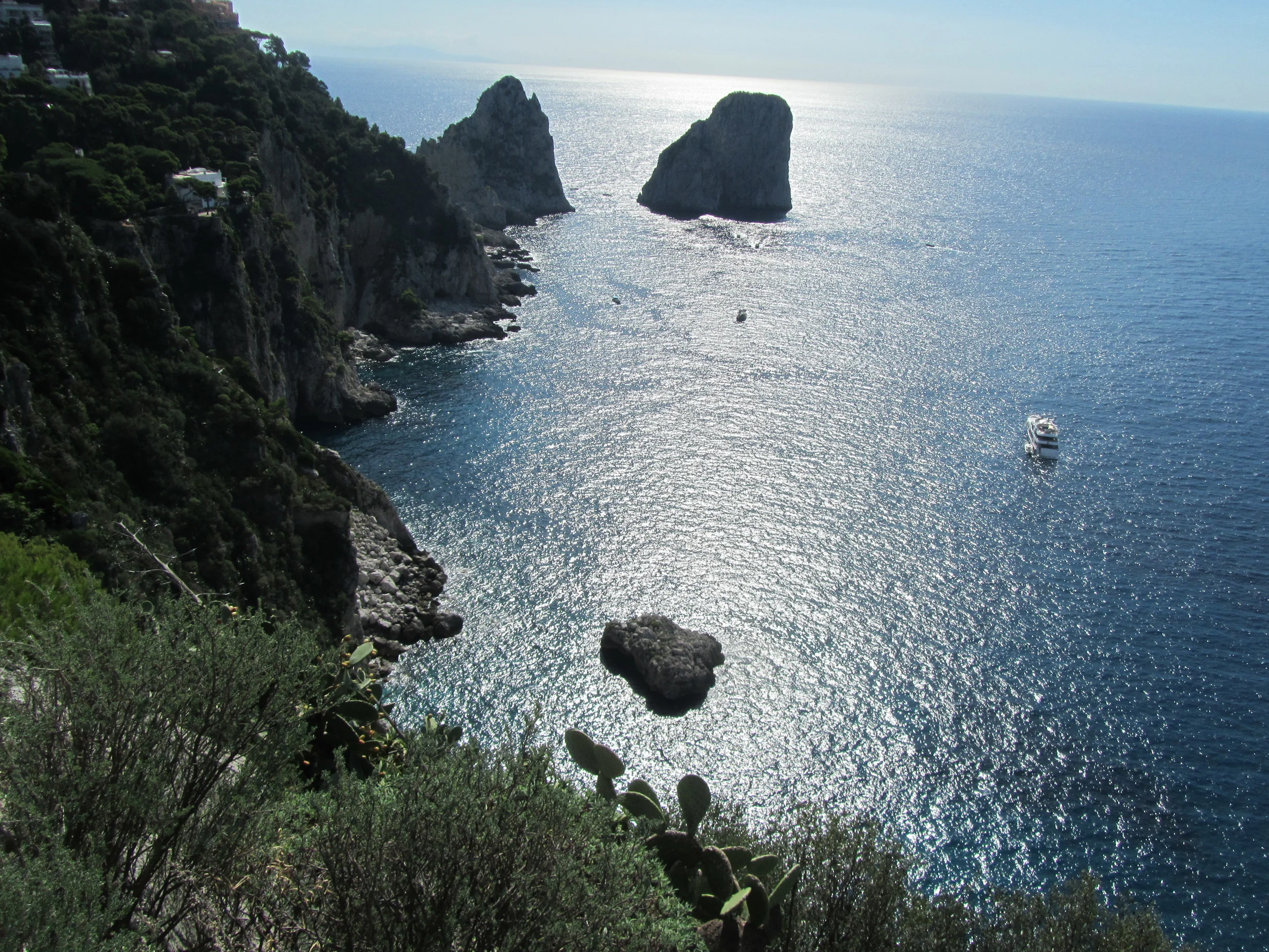 Capri - Coastline  (1)