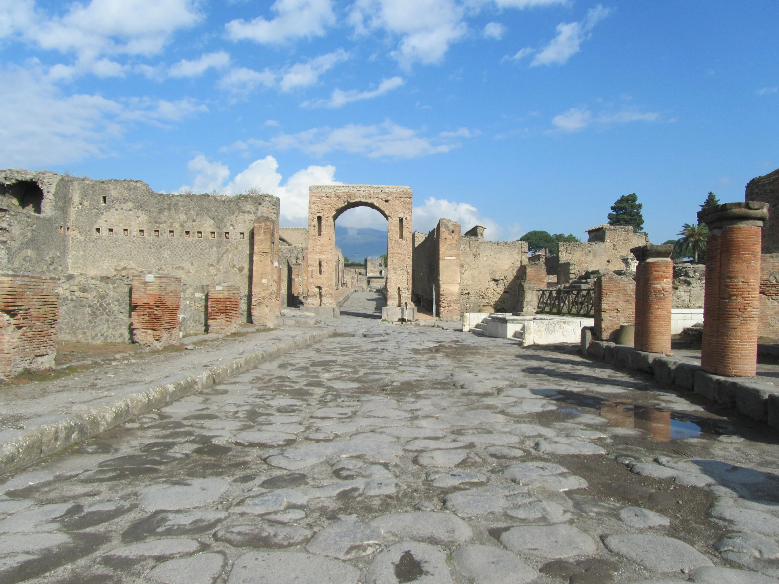 Pompei - Ruins of the ancient Roman city  (5)