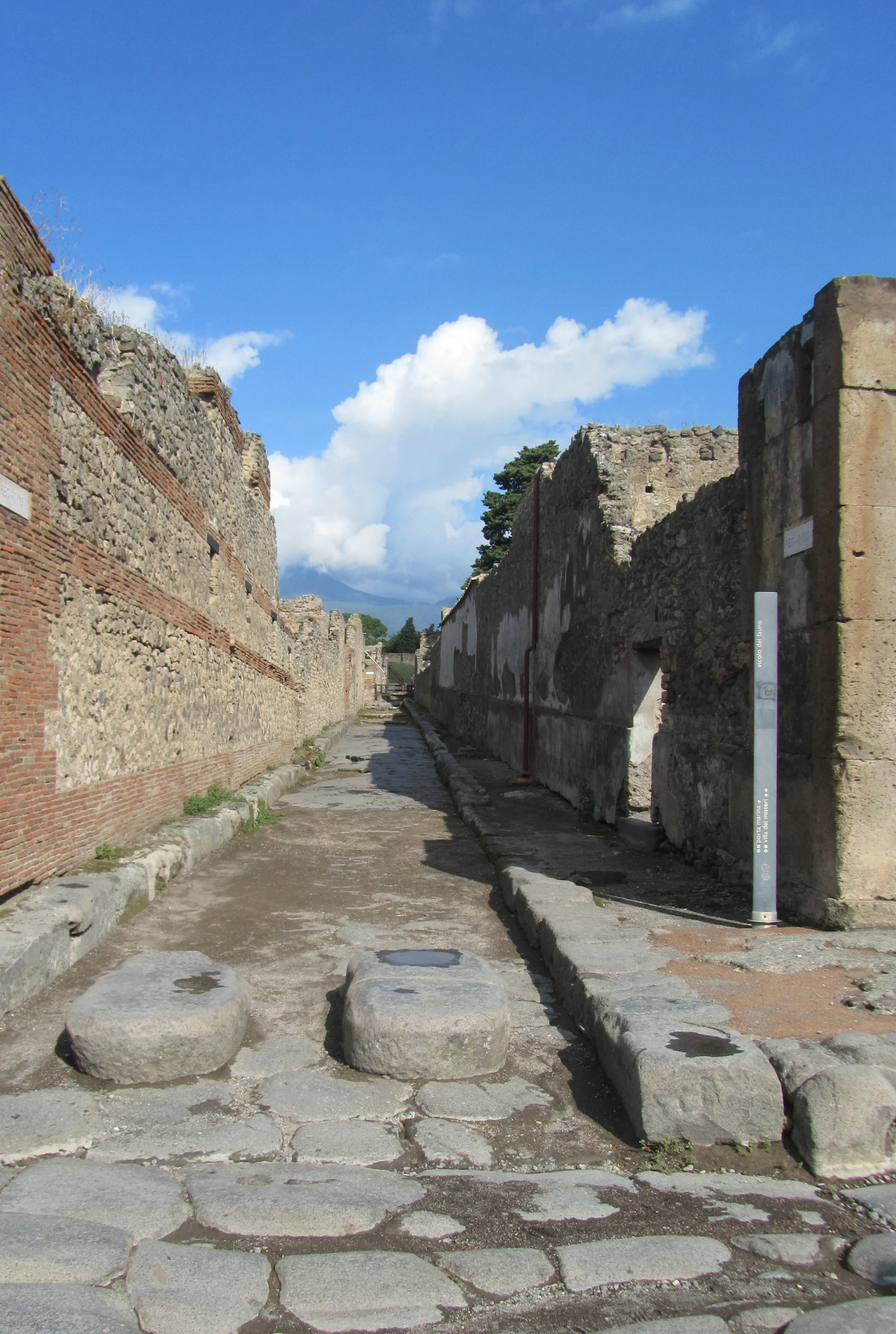 Pompei - Ruins of the ancient Roman city  (7)