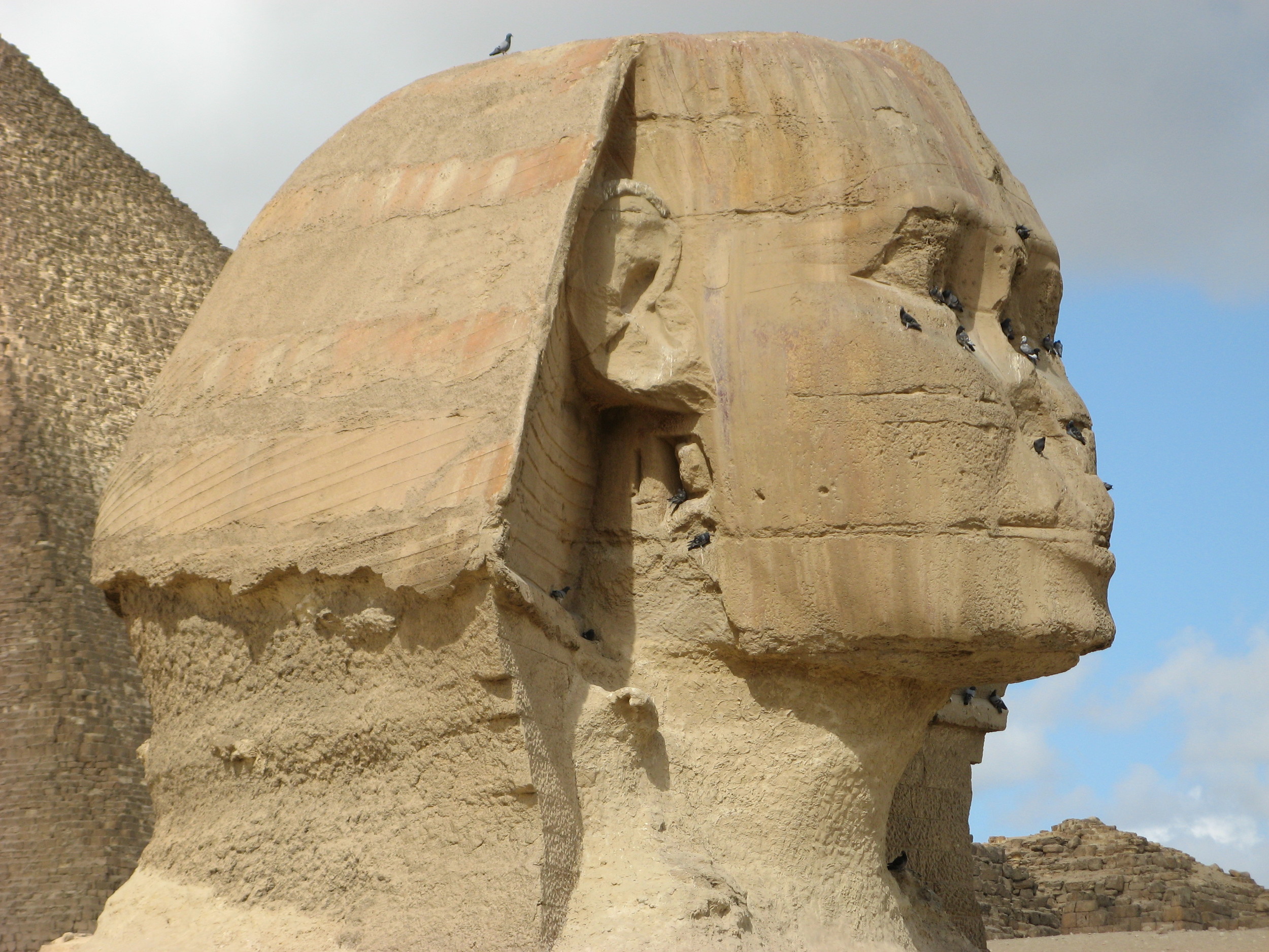  Birds resting on the Sphinx 