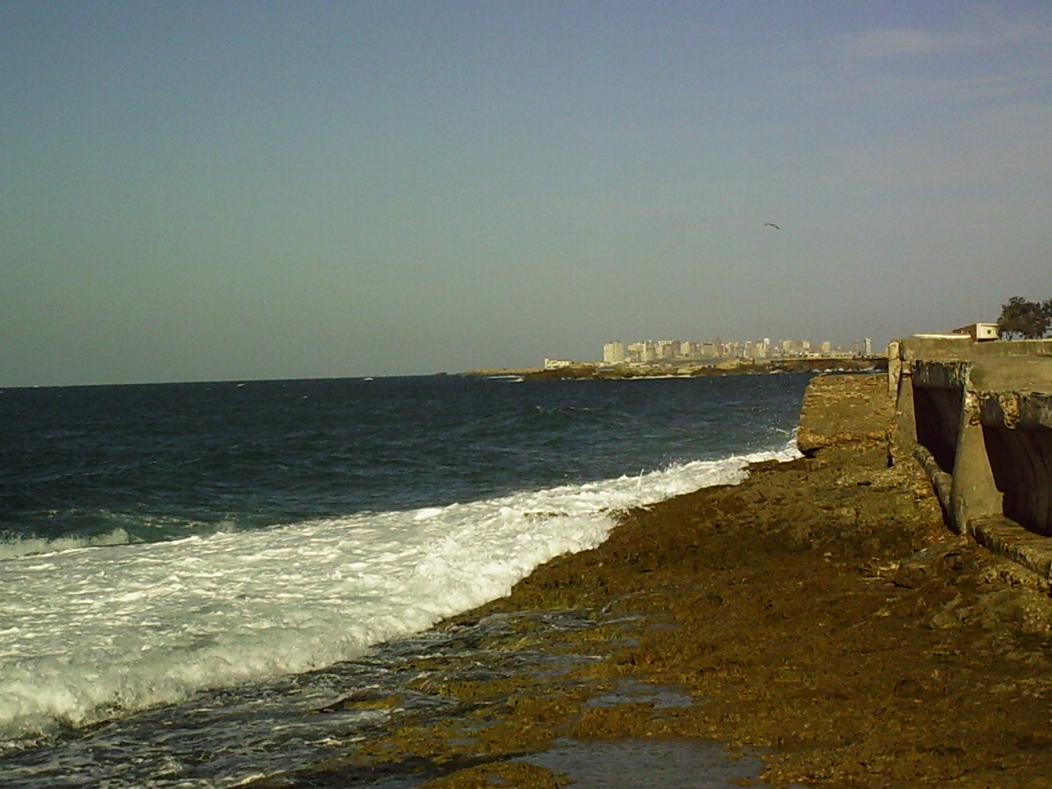  The beach on the Mediterranean in Alexandria, Egypt 