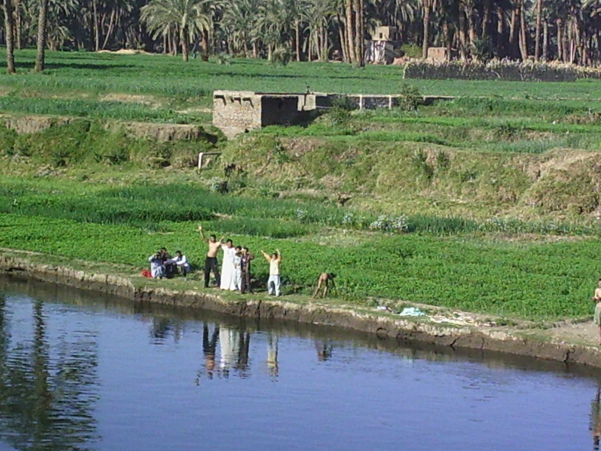  Banks of the Nile en route to Qena 