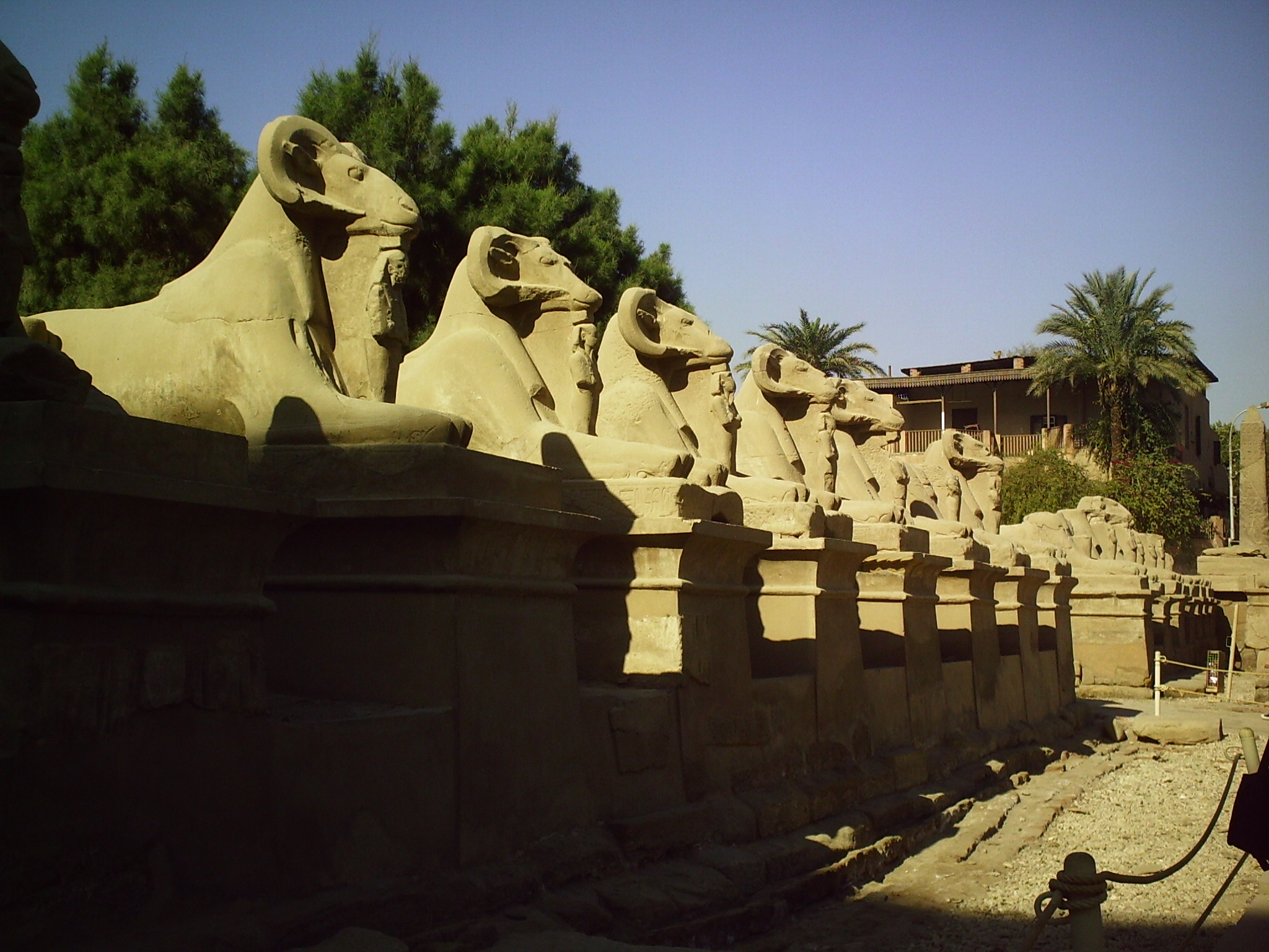  Row of ram heads in the Karnak complex 