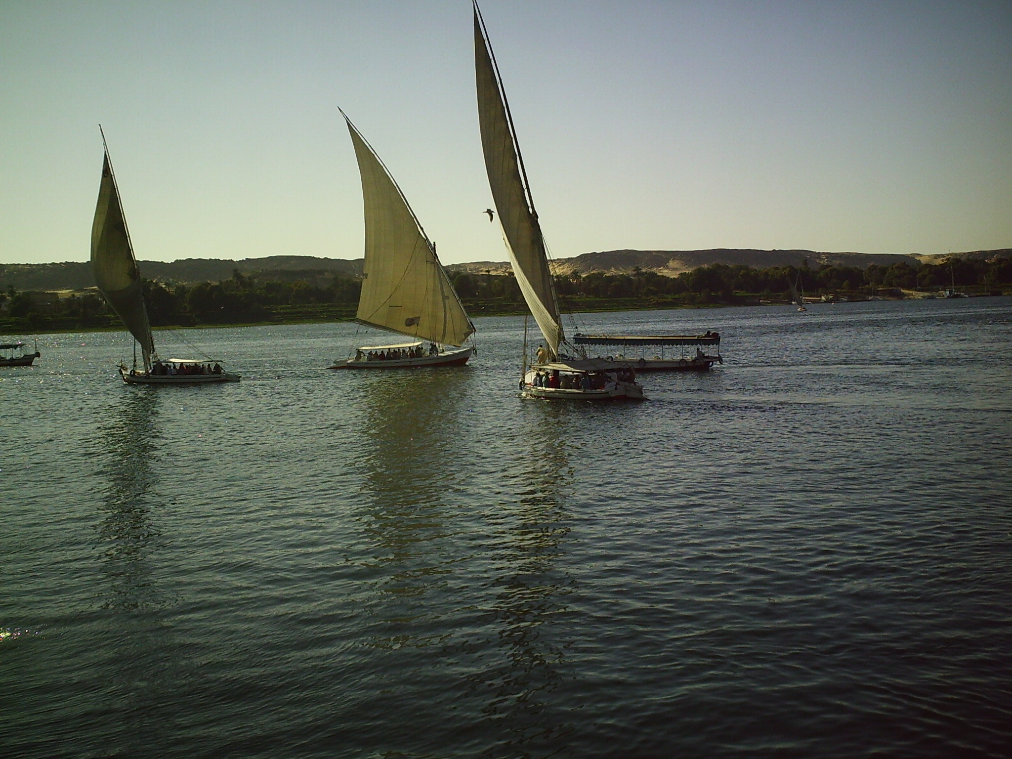  Feluccas on the Nile 