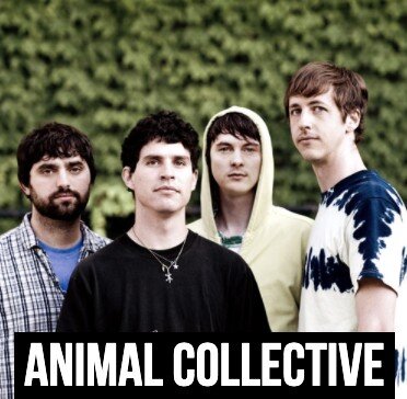 Animal Collective Interview