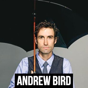 Andrew Bird Interview