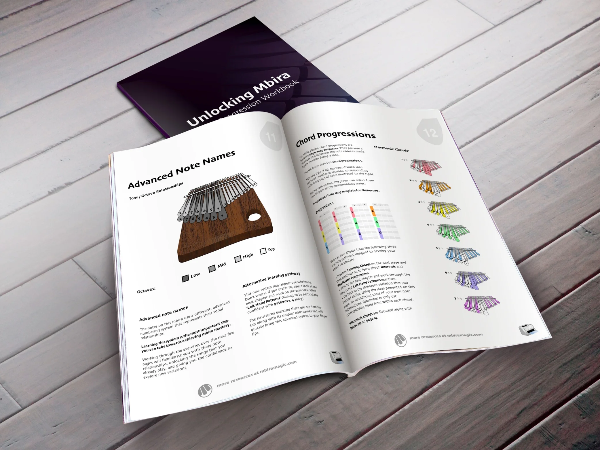 Unlocking Mbira : Summary・Samples・Reviews