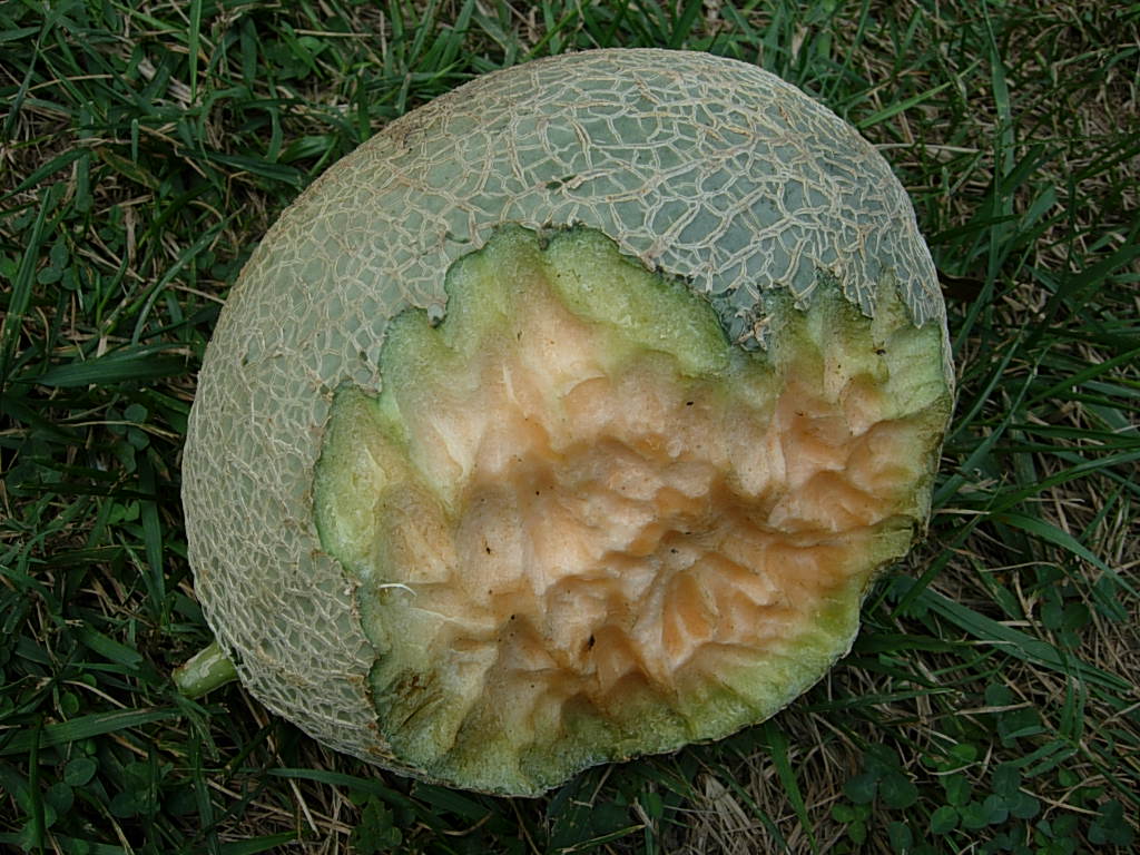 tumblr_lq4zzdRajO1qimi6mo7_1280.jpg