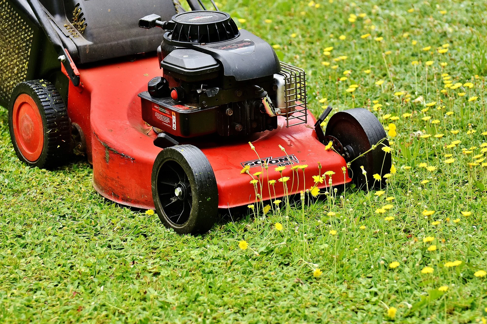 lawn-mower-2408925_1920.jpg