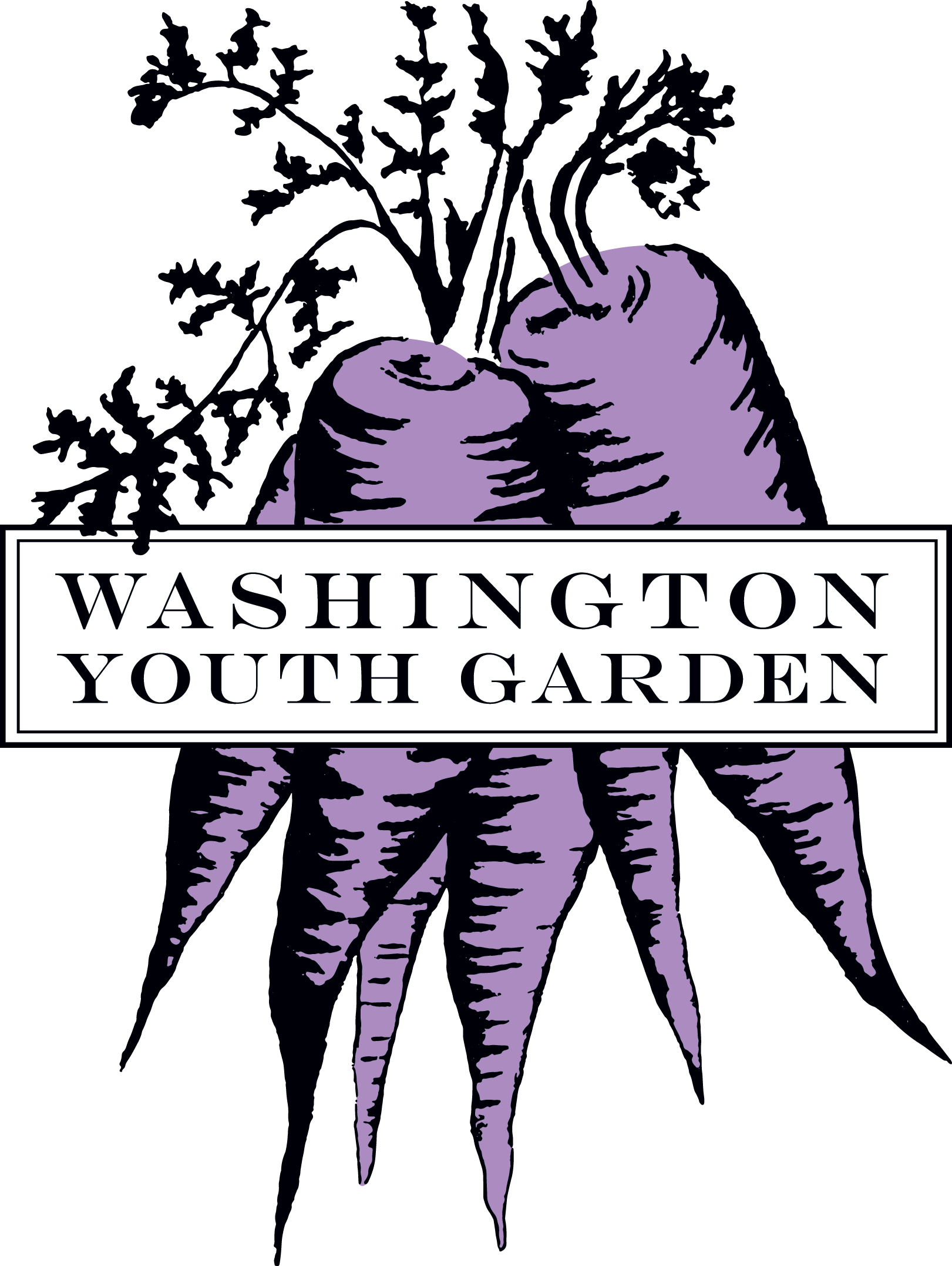 WYGcarrots_TRANSPARENT1.png