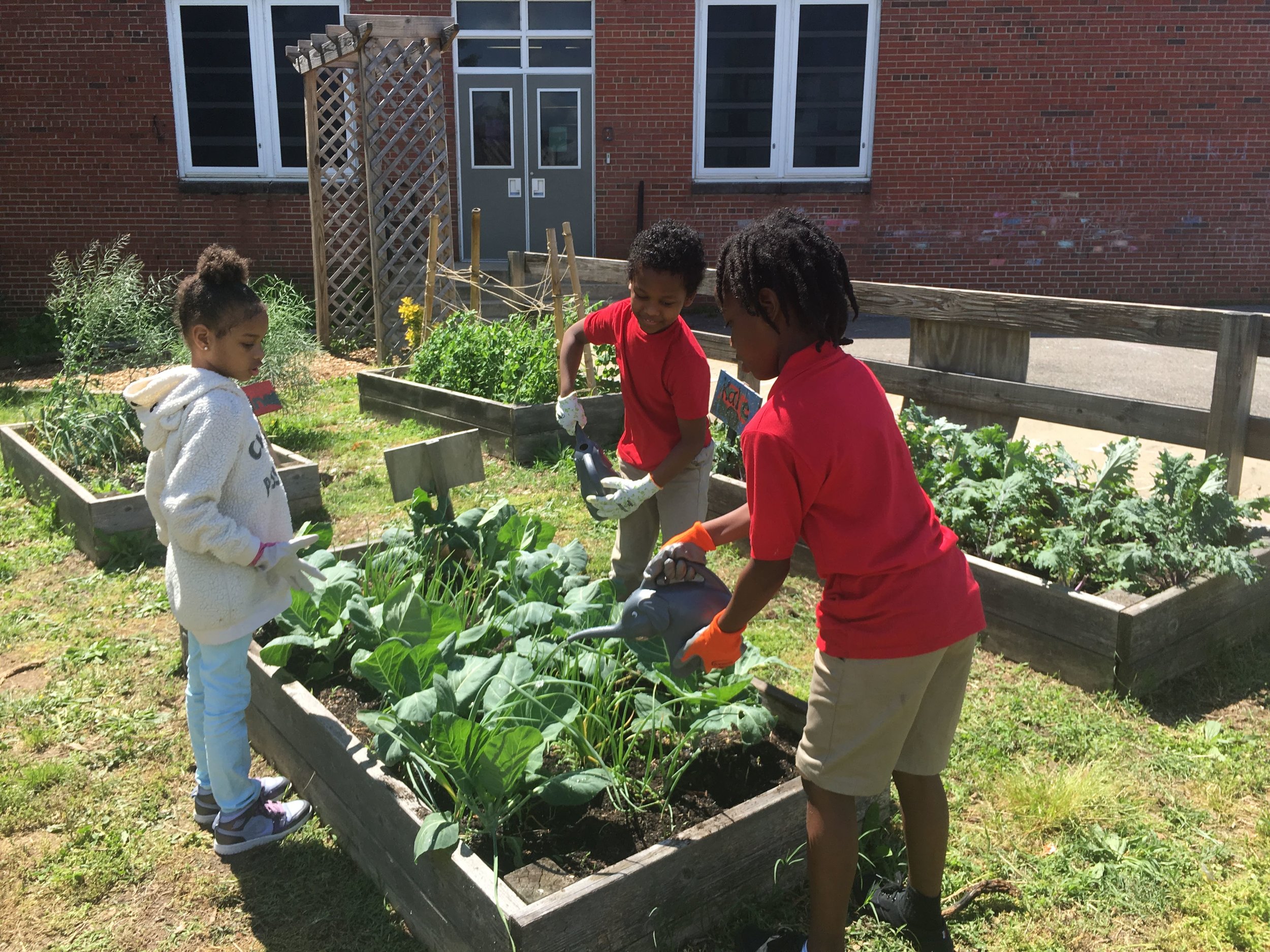 2019 Strolling Supper Washington Youth Garden