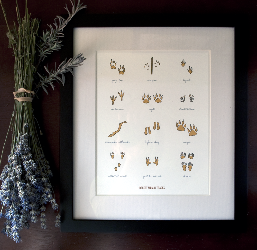 Desert Animal Tracks Print