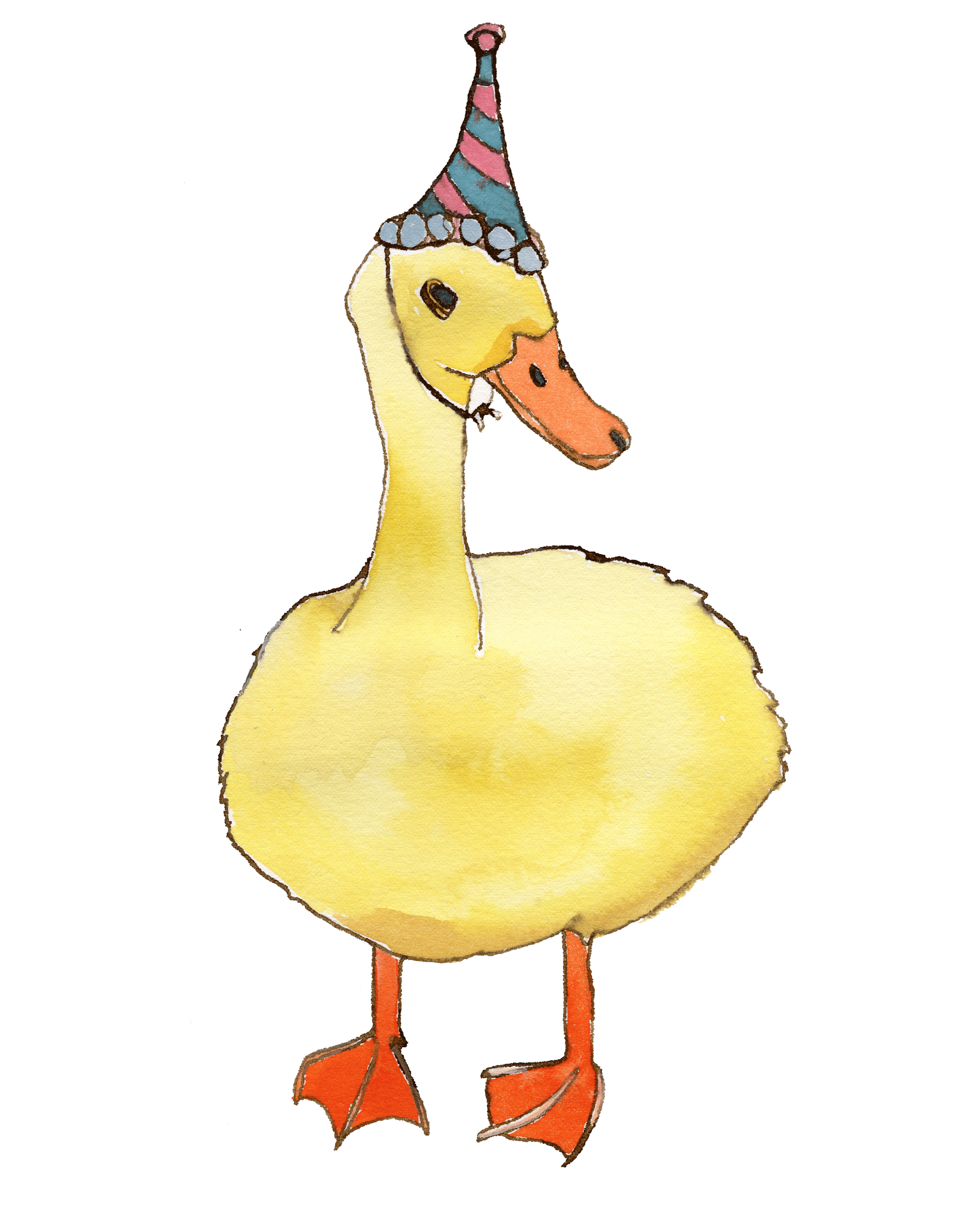 party-duck