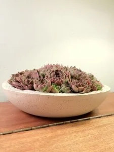 ConcreteBowl