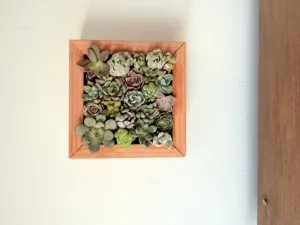 WoodFrame