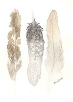 feathers-number-1-small