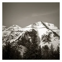 Brenda_Barrett_Image4