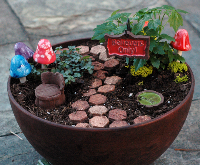 fairy garden