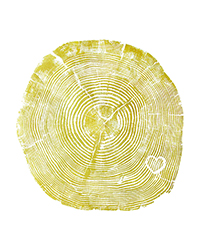 Heart of Gold - 8x101