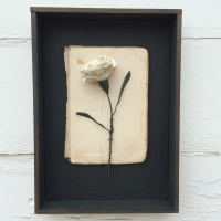 framed carnation