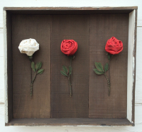 framed roses