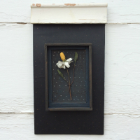 framed daisy