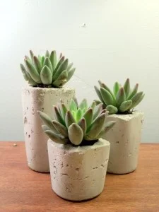 ConcreteVase- RIchard Bingham