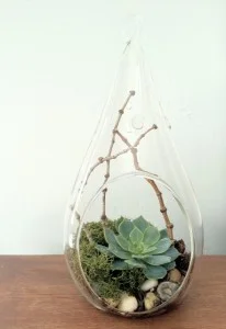 Glass-206x300 RIchard Bingham