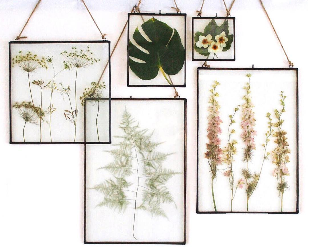 Planted Studio