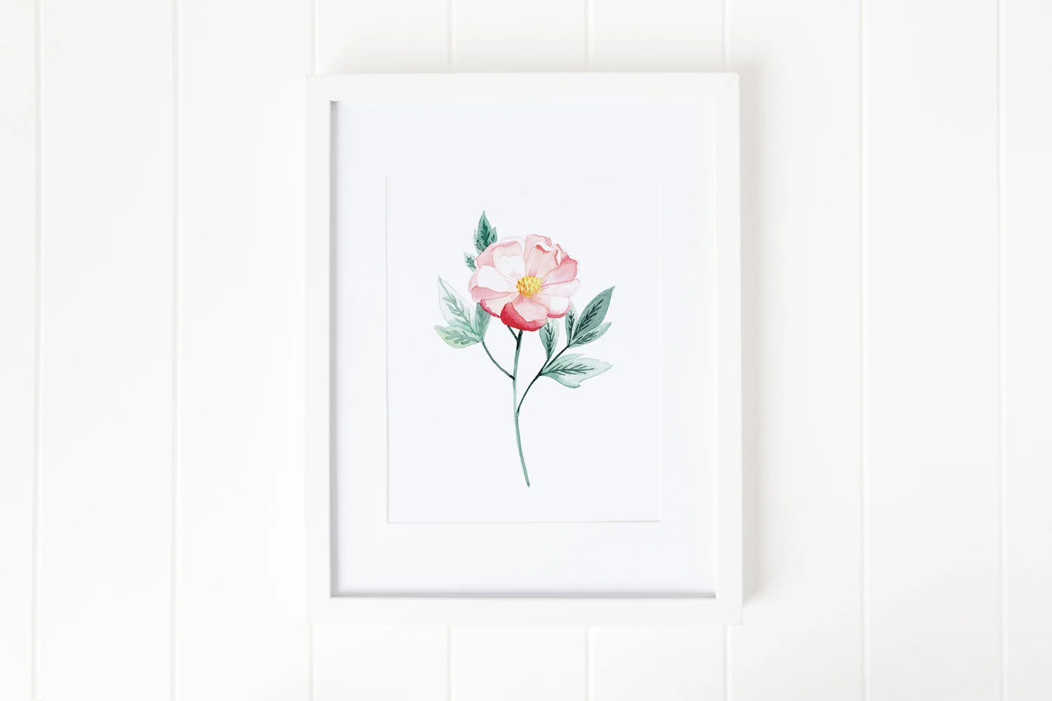 Snowberry Design Co