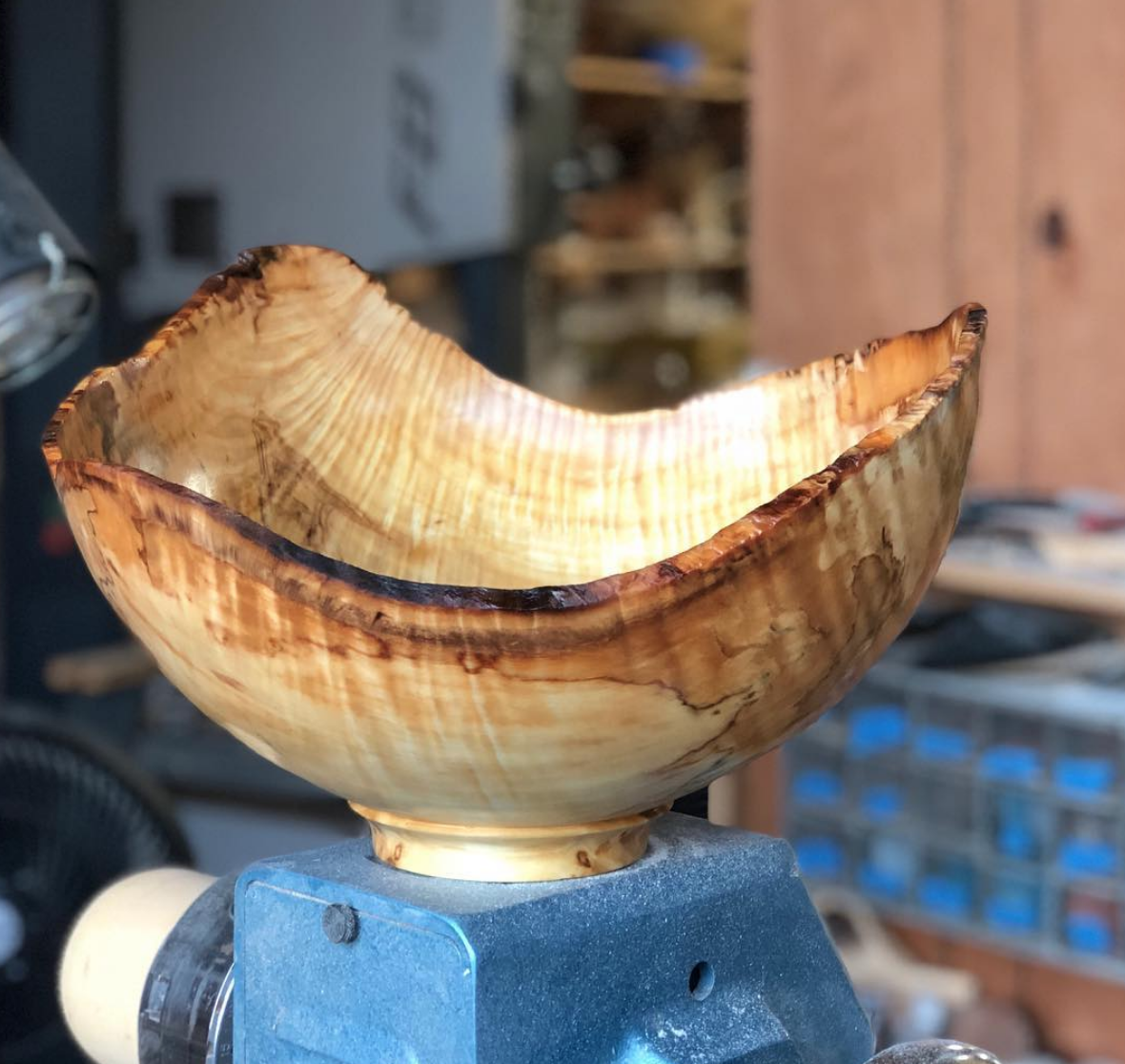 Peck's Vanilla