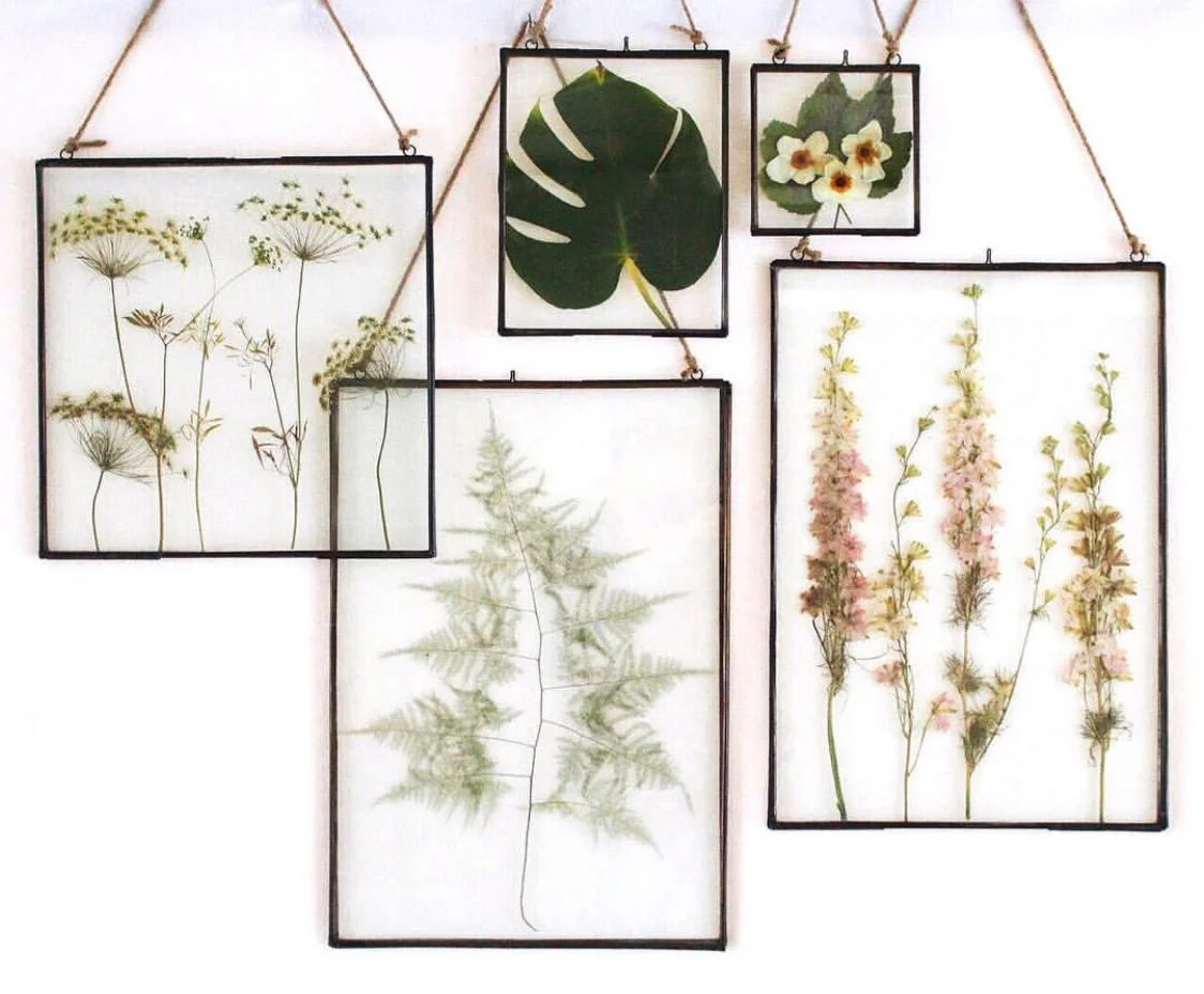 Natural Curiosities