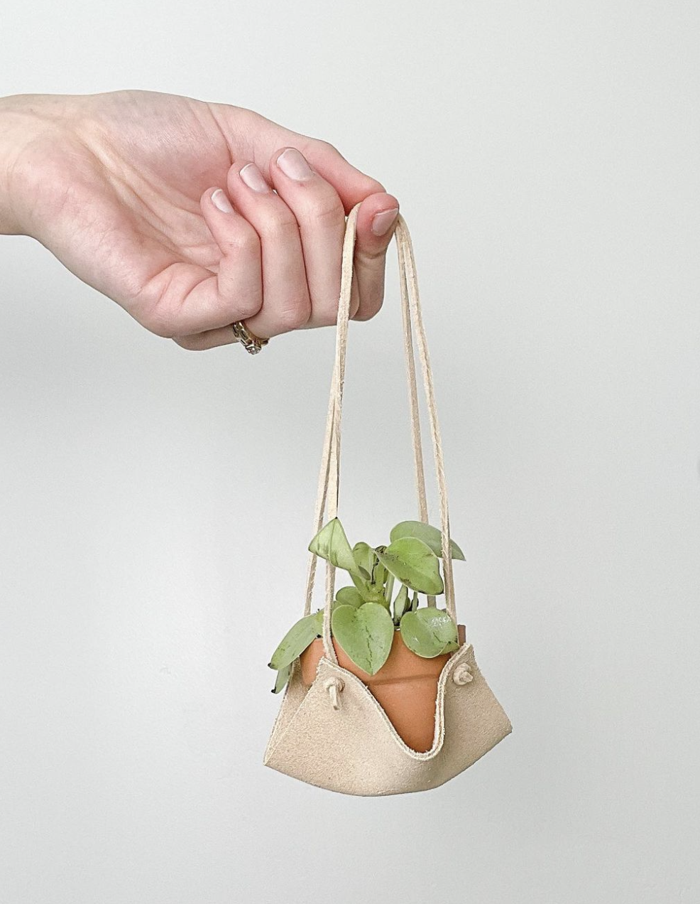 grow up plant co.