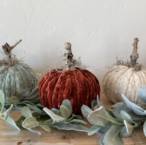 abby rose boutique