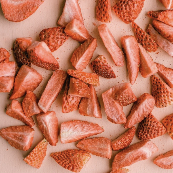 jenny's freeze dried delights