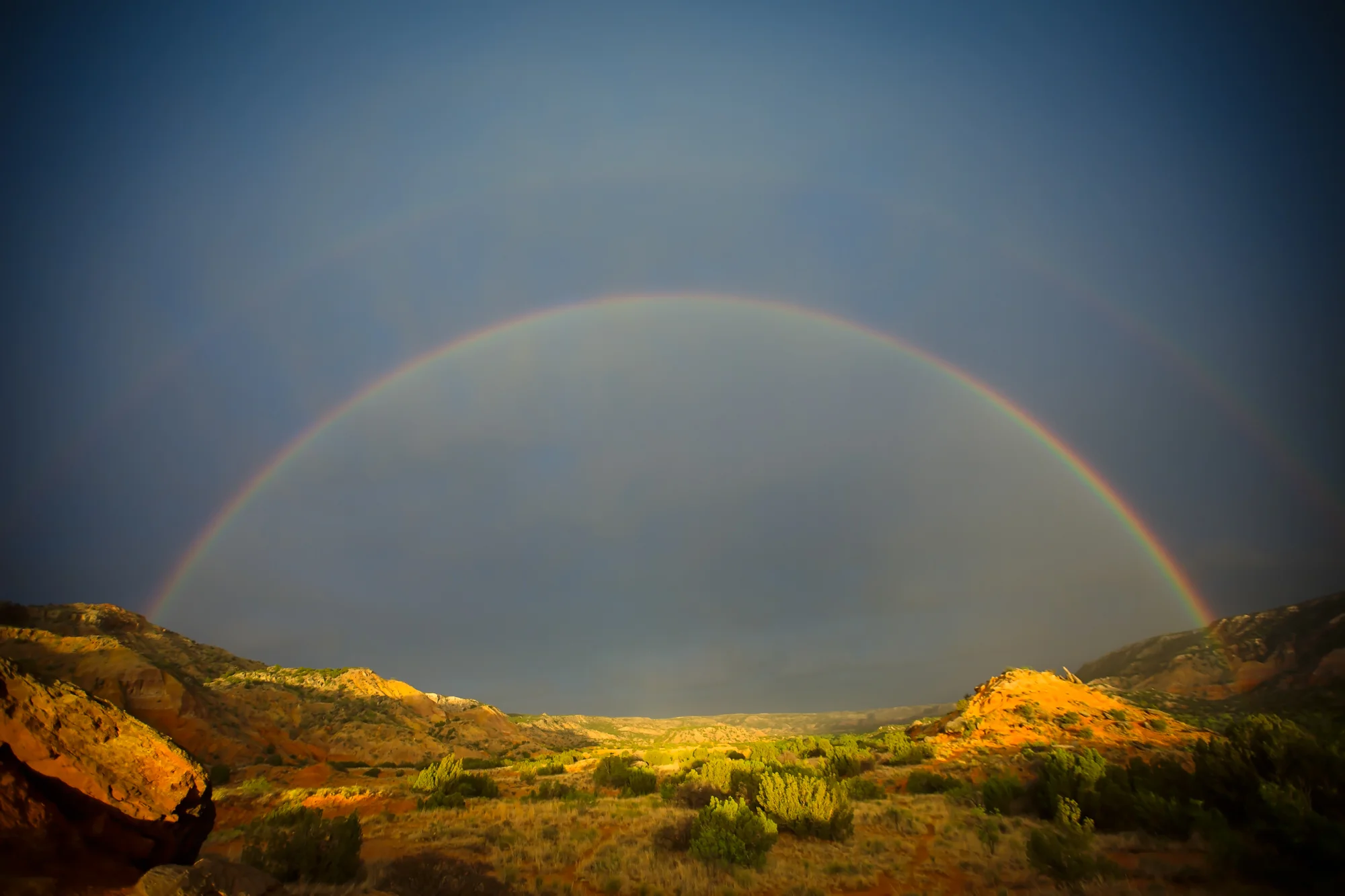 Best Photography-2.jpg