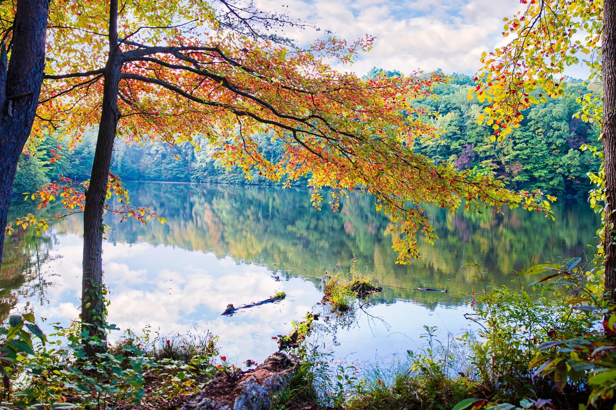 Best Photography-39.jpg