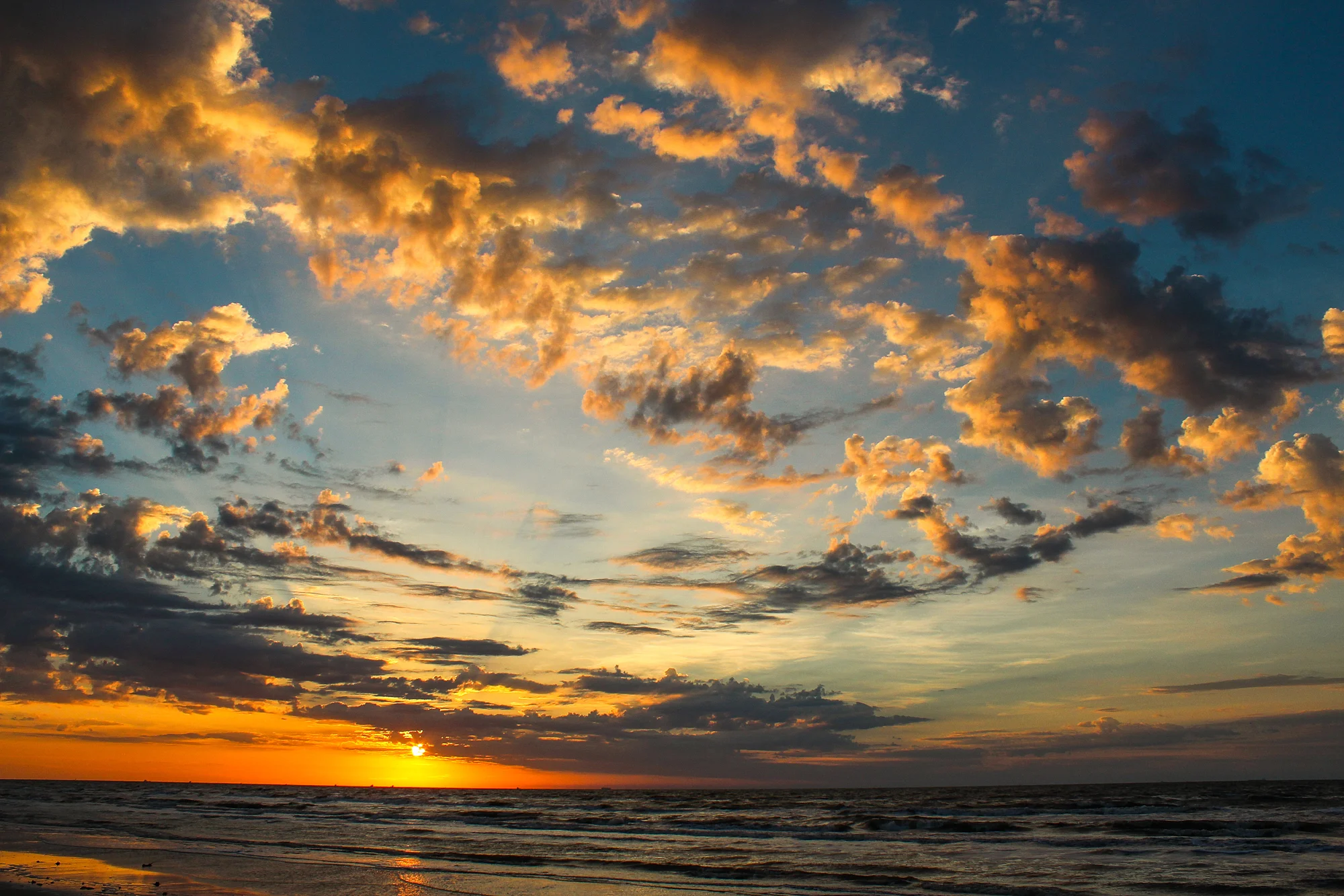 Best Photography-81.jpg